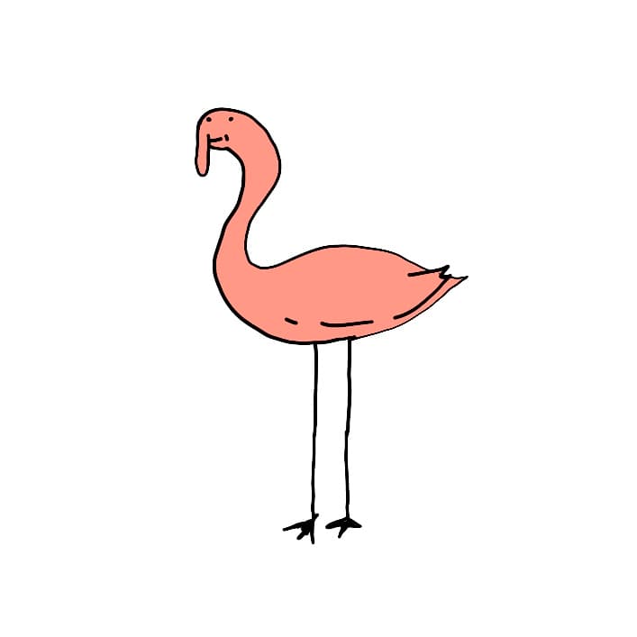 Flamingo